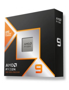 AMD Ryzen 9 9900X 3D